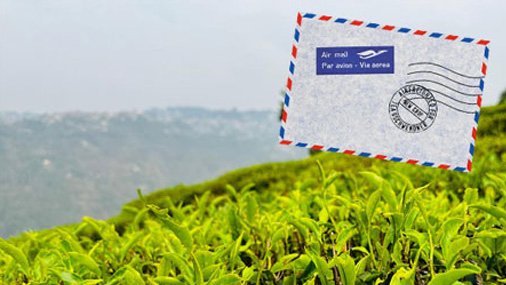 Flugtees Teegarten mit Briefumschlag