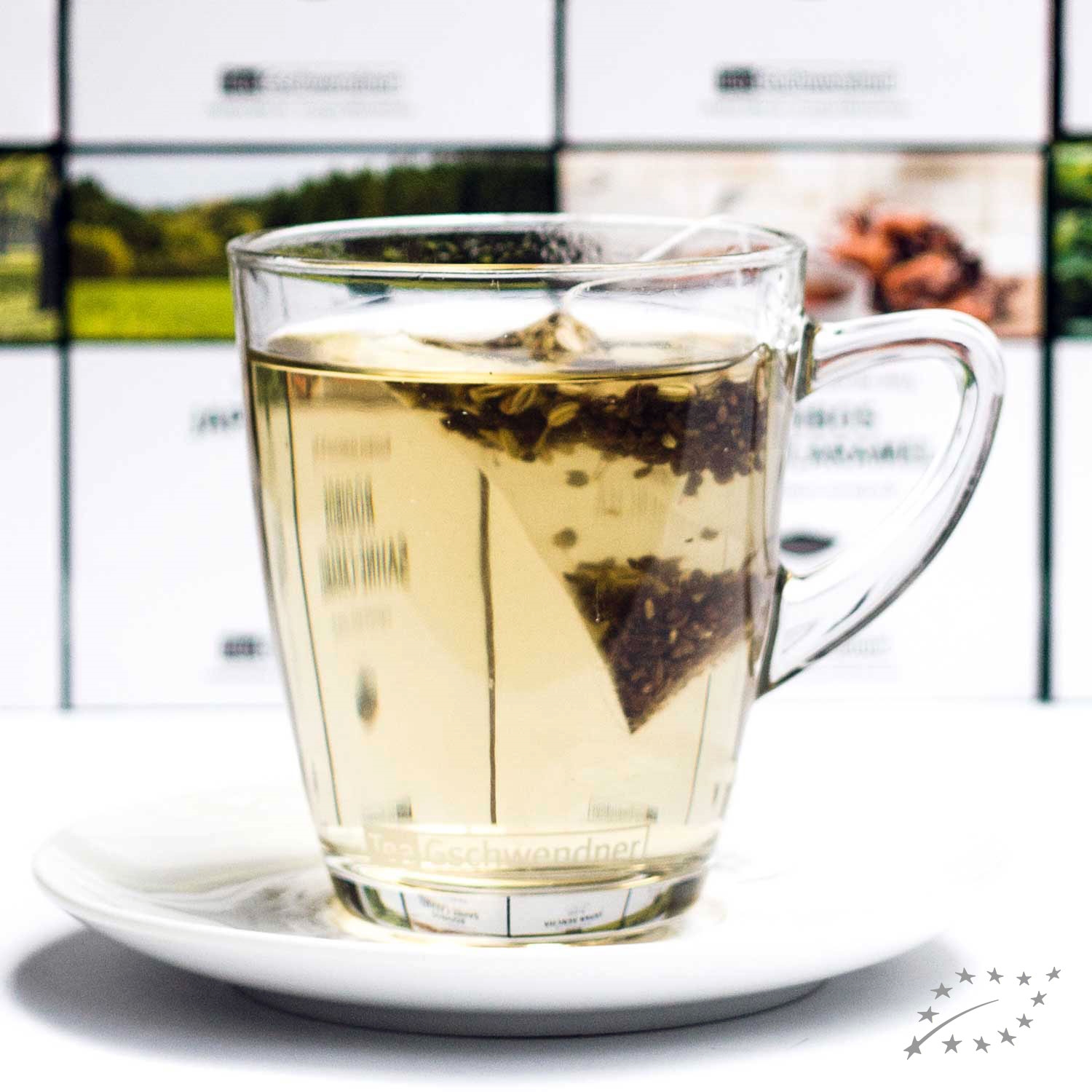 Transparente Teetasse mit hellem Tee und Teebeutel