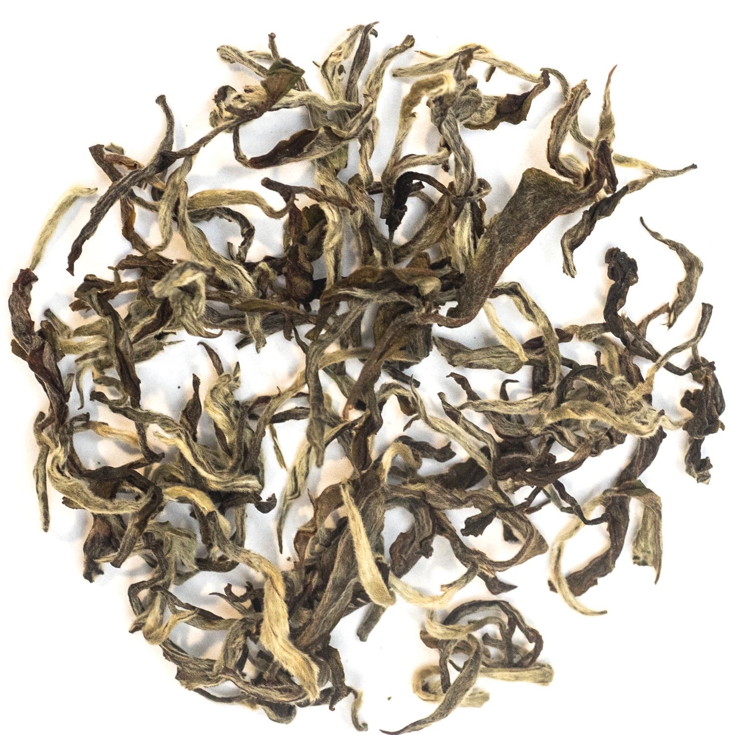 Nepal Kanchenjangha White Tea