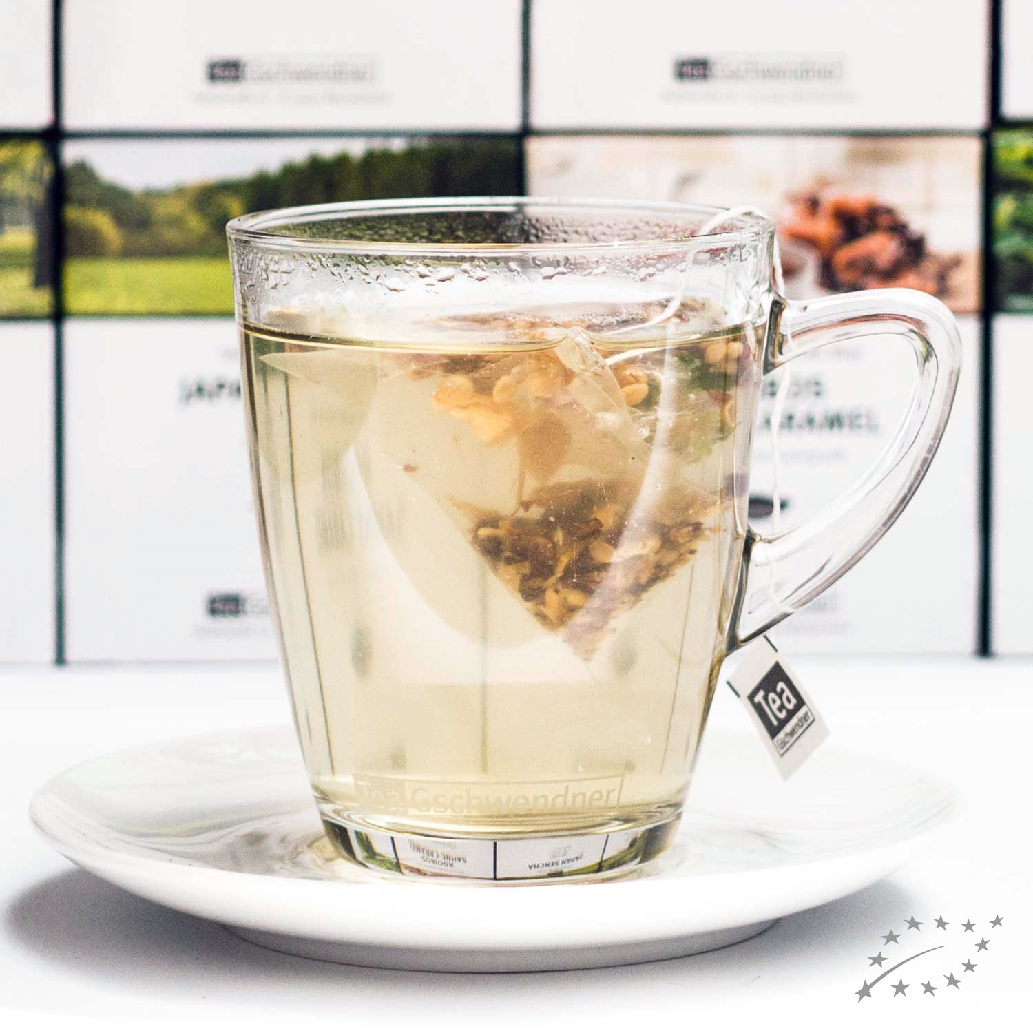 Transparente Teetasse mit Teebeutel und Unterteller