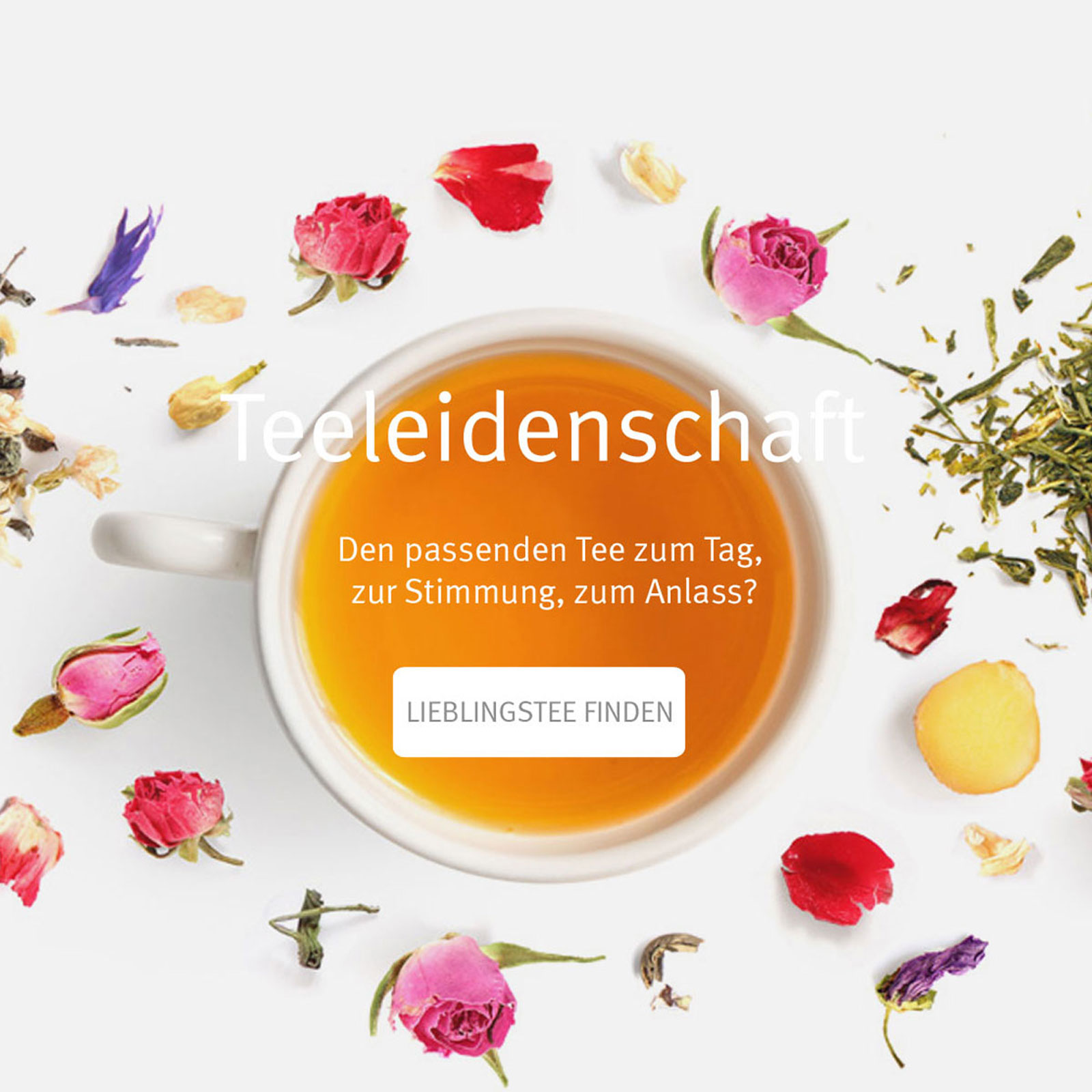 Weiße Tasse mit Tee umgeben von bunten Blüten und Kräutern