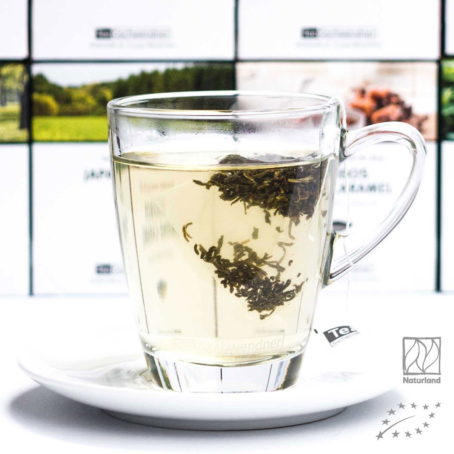 Transparente Tasse mit aufgebrühtem losem Tee auf Untertasse