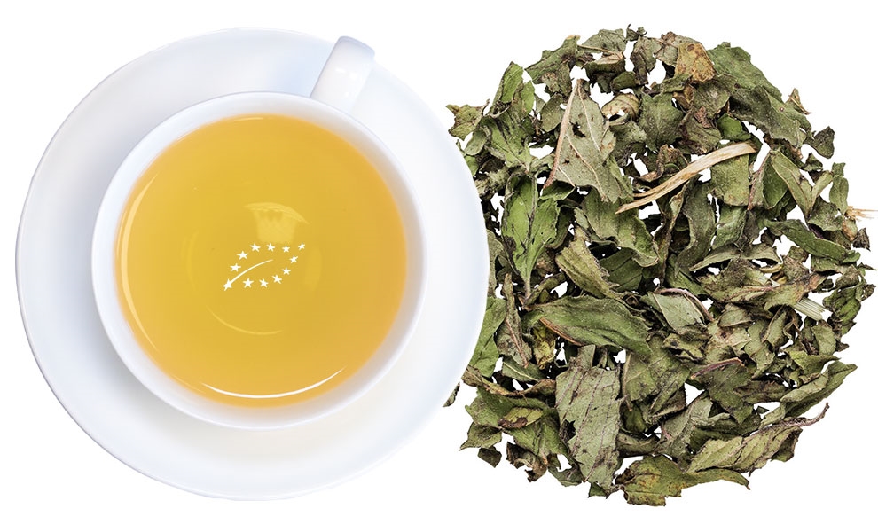 Weiße Teetasse mit aufgebrühtem Tee und Teeblättern