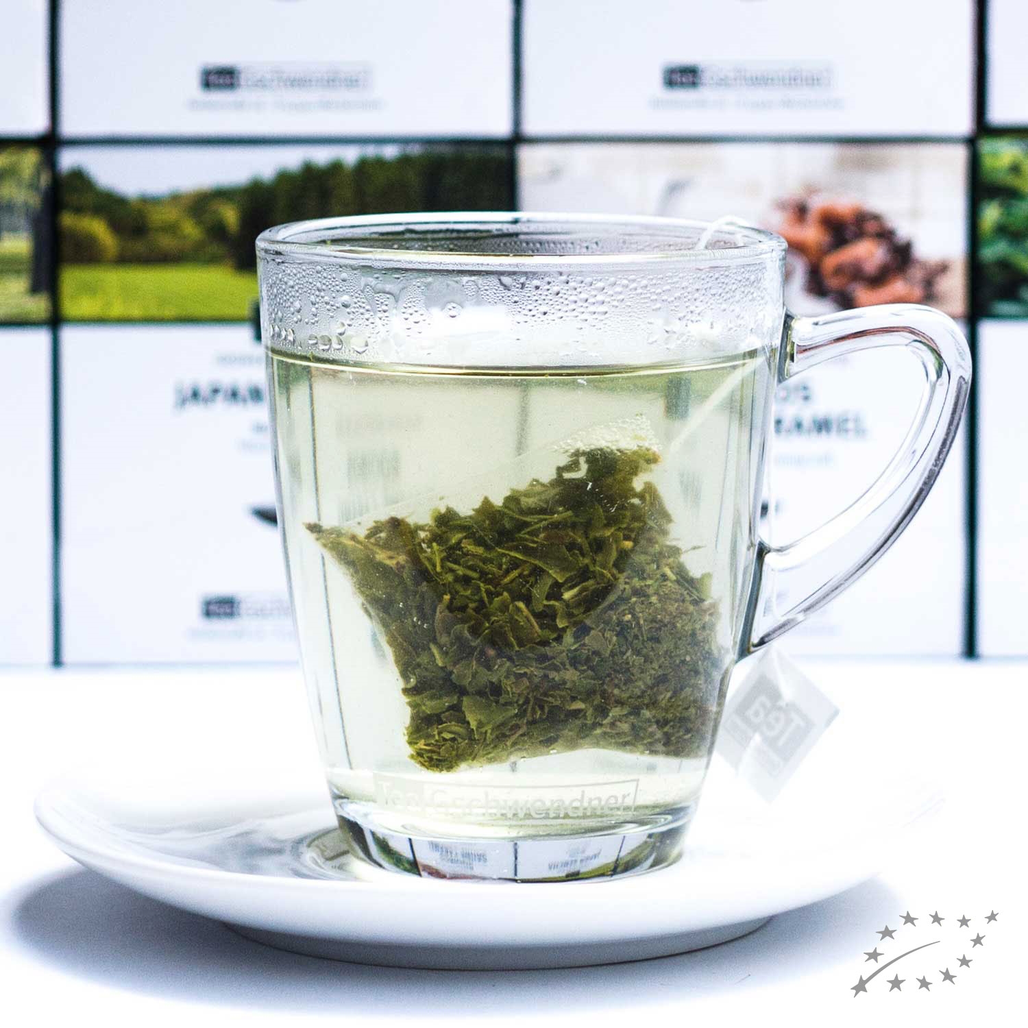 Frisch aufgebrühter grüner Tee im Glas mit Teebeutel