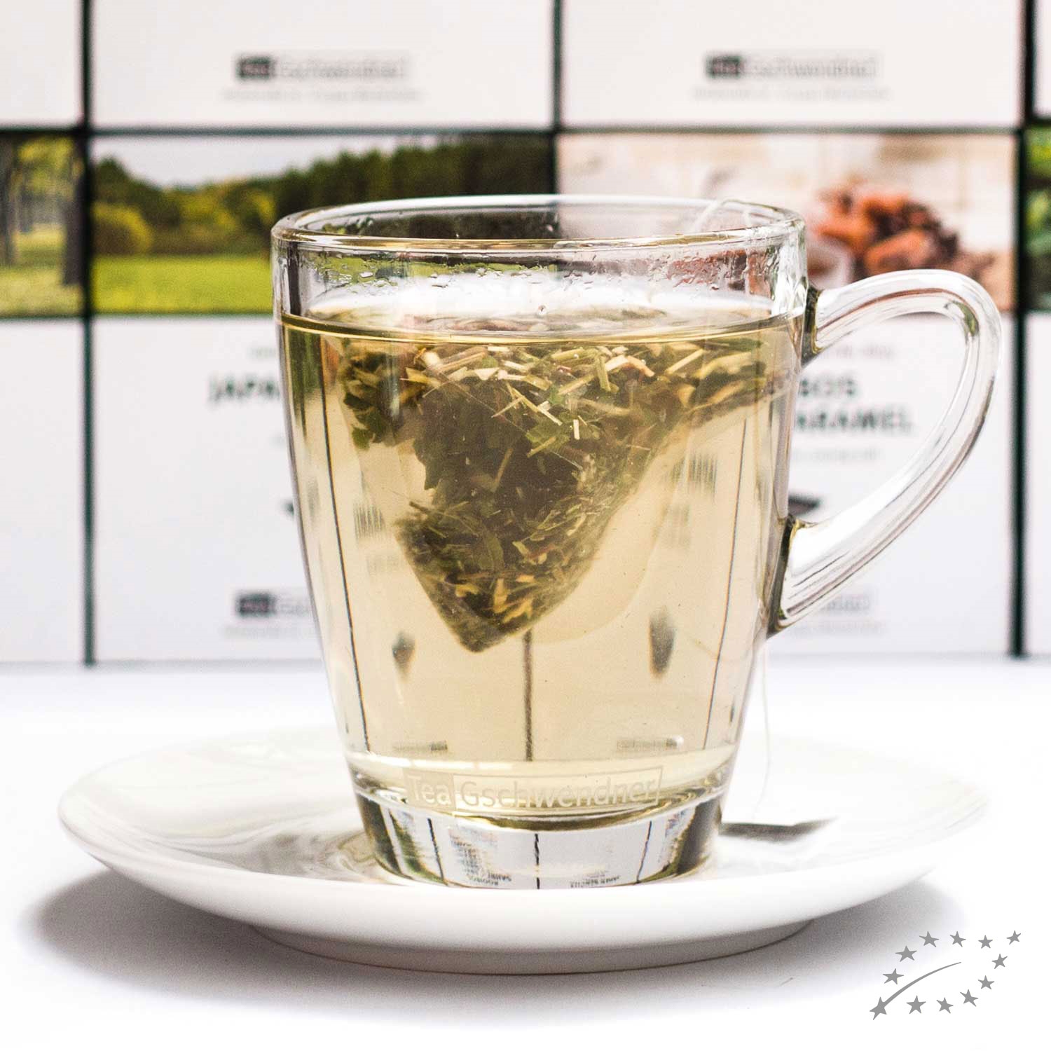 Transparente Tasse mit heißem Kräutertee und Teebeutel