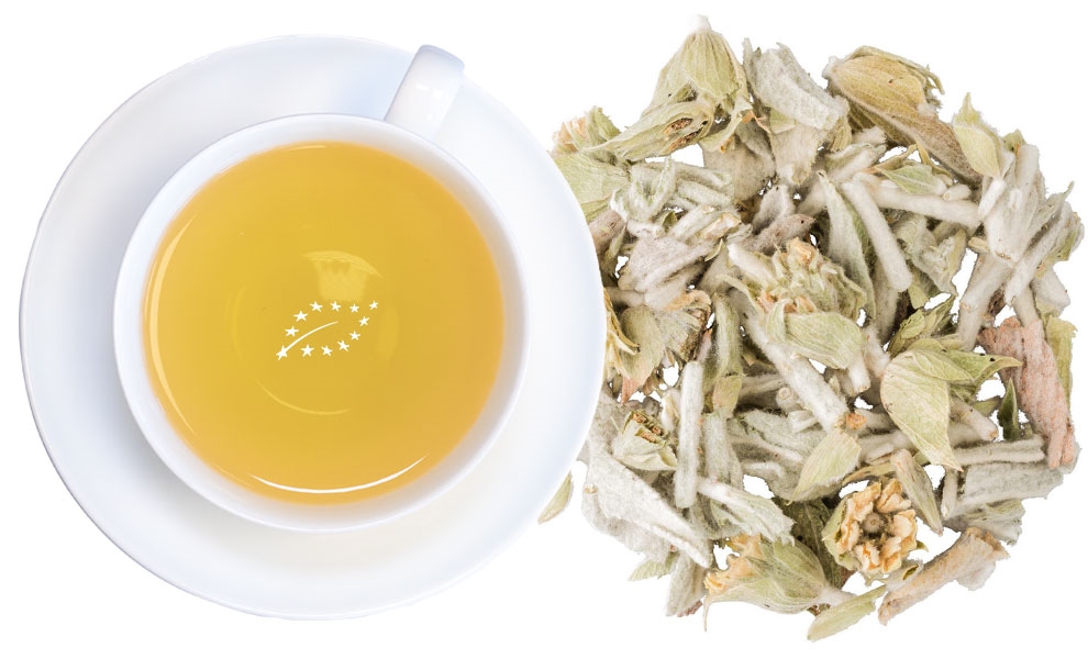 Weiße Tasse Kräutertee neben losen Blättern